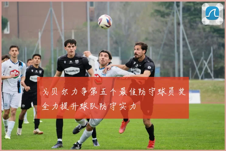 戈贝尔力争第五个最佳防守球员奖全力提升球队防守实力