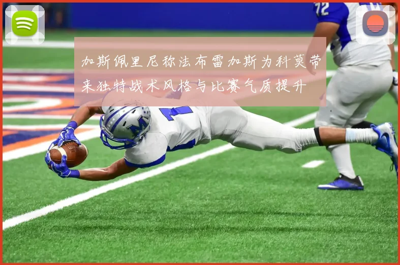 加斯佩里尼称法布雷加斯为科莫带来独特战术风格与比赛气质提升