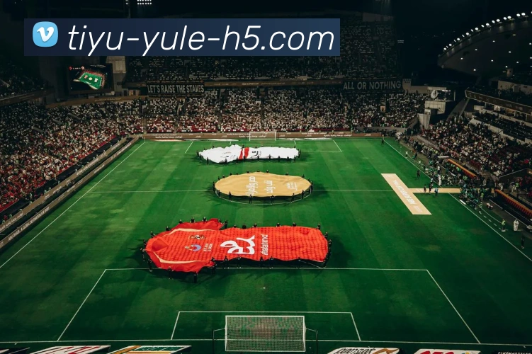 乐鱼体育平台生态图