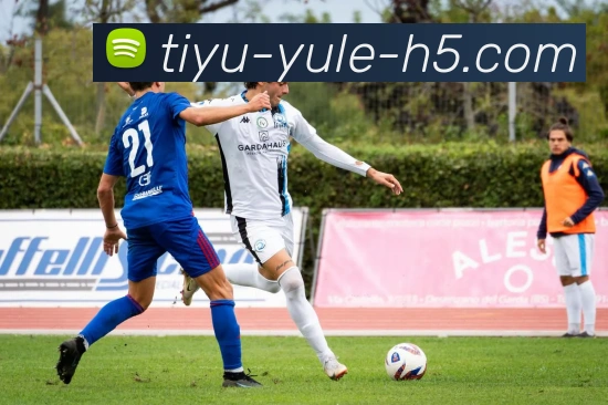 乐鱼体育APP 封面图